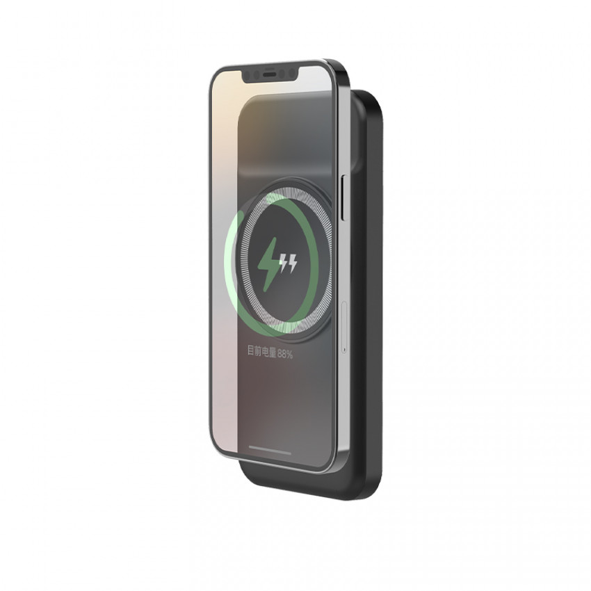 PB-4016 10.000 mAh Powerbank