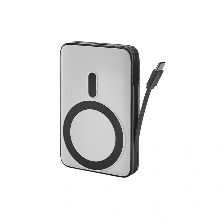 PB-4020 10.000 mAh Powerbank