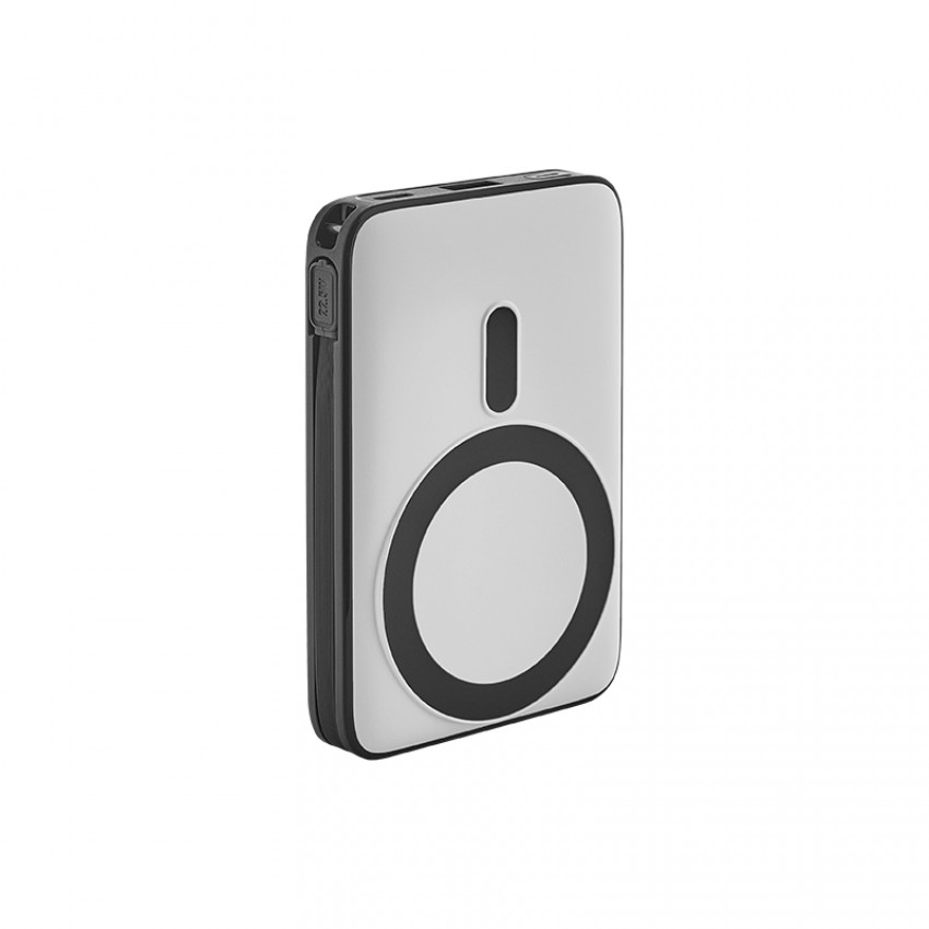 PB-4020 10.000 mAh Powerbank